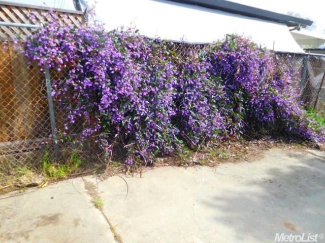 442 Russell St, Winters, CA 95694 photo 15
