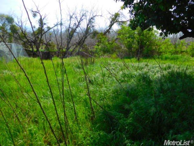 442 Russell St, Winters, CA 95694 photo 16