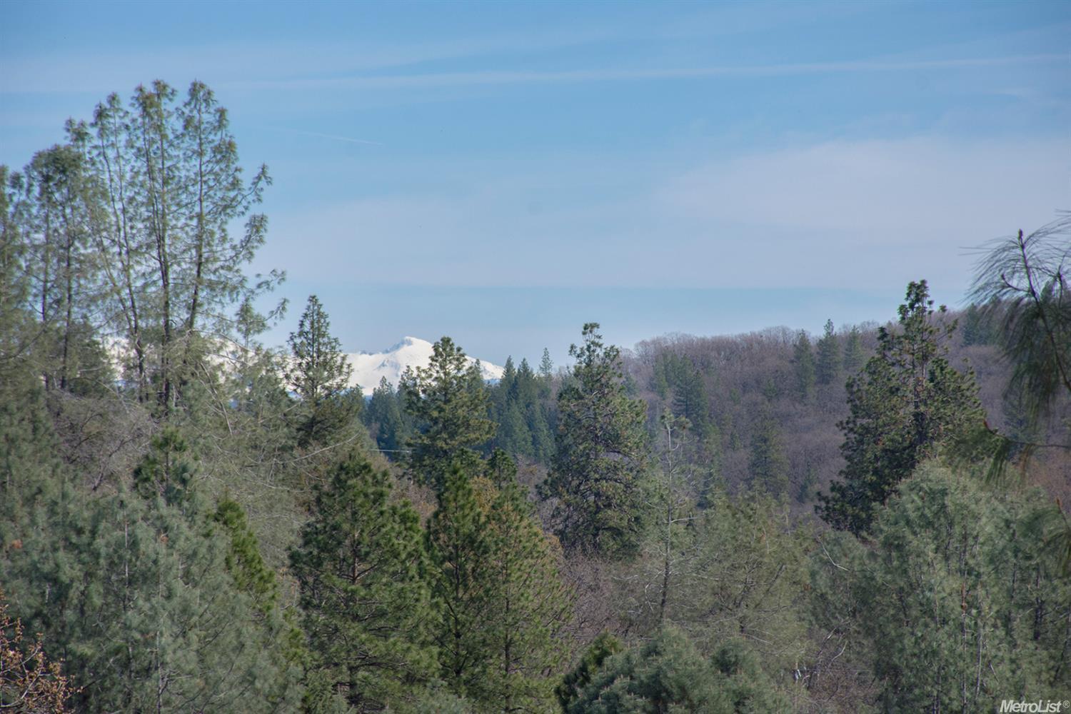 2955 Springer Rd, Placerville, CA 95667 photo 5