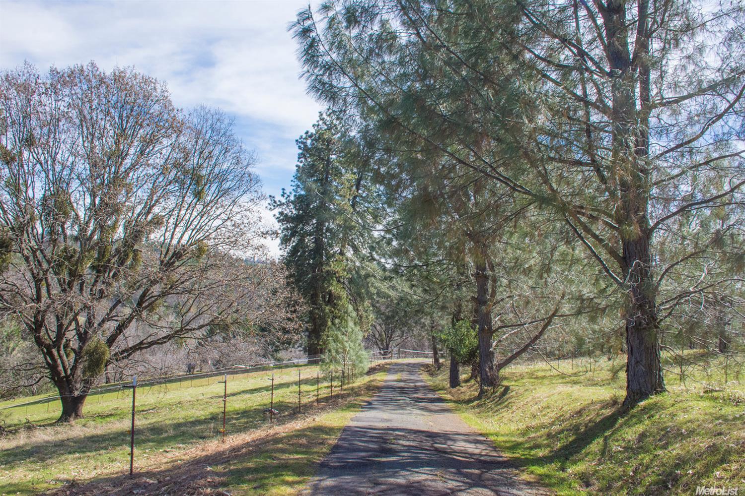 2955 Springer Rd, Placerville, CA 95667 photo 2