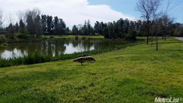 215 Tern Pl, Davis, CA 95616 photo 30