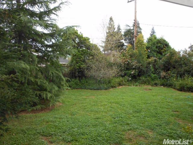 1331 Meredith Way, Carmichael, CA 95608 photo 3