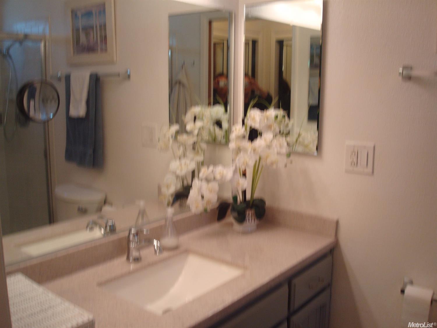 8653 Timber Ct, Orangevale, CA 95662 photo 11