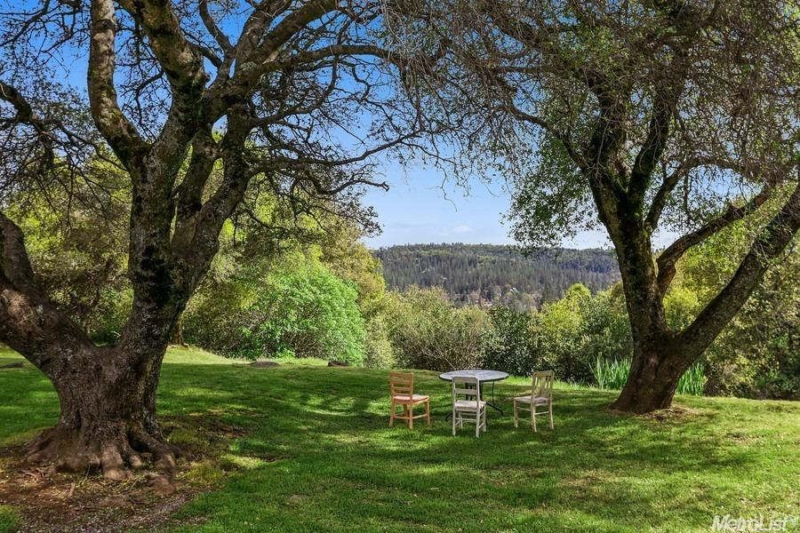 967 Poverty Hill Dr, Placerville, CA 95667 photo 3