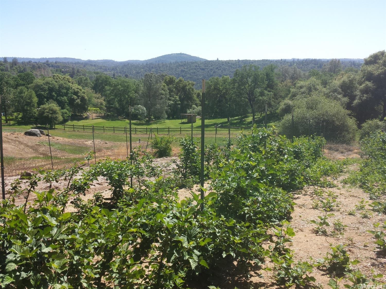 3420 Almosta Rd, Placerville, CA 95667 photo 4
