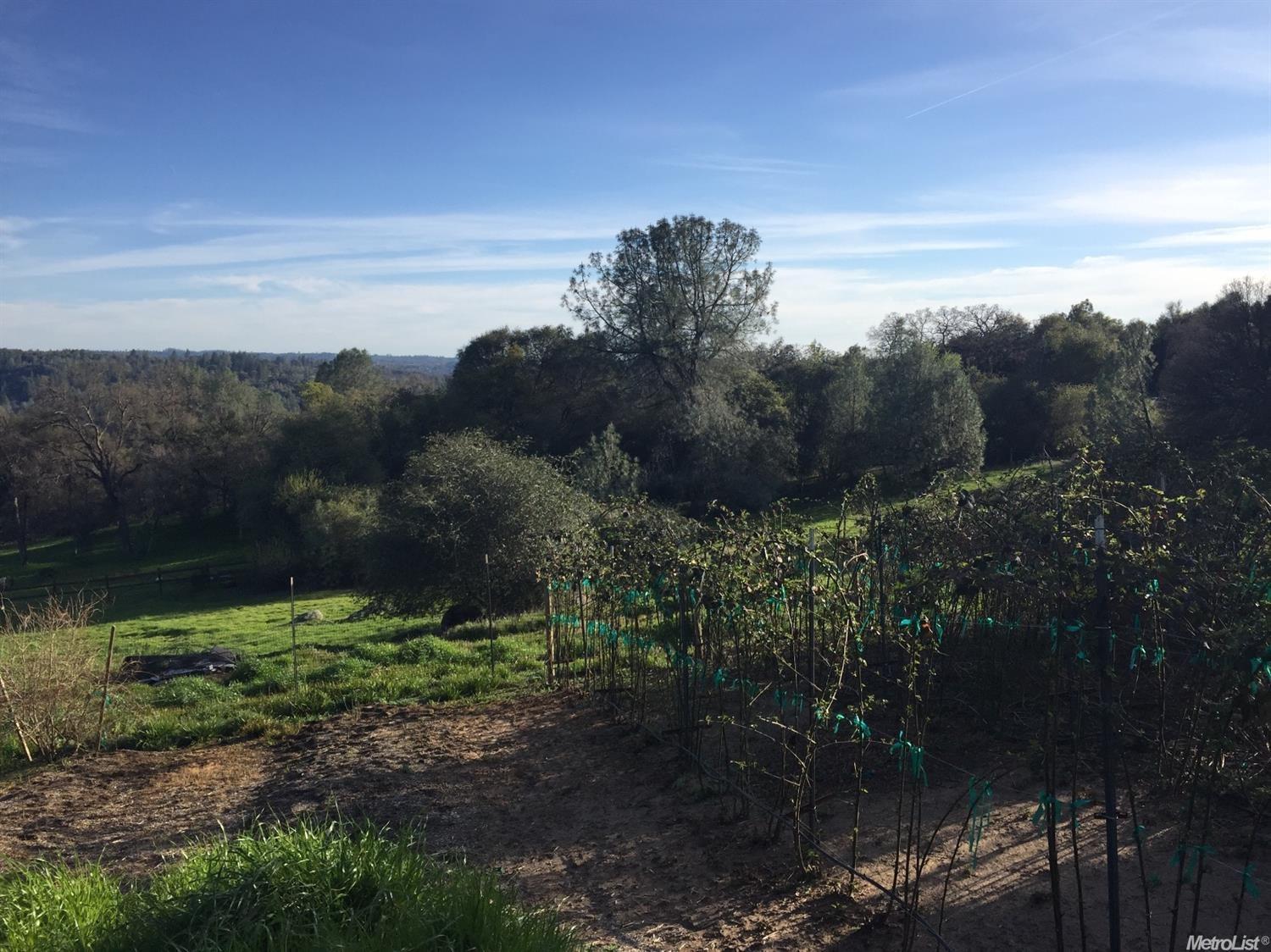 3420 Almosta Rd, Placerville, CA 95667 photo 7