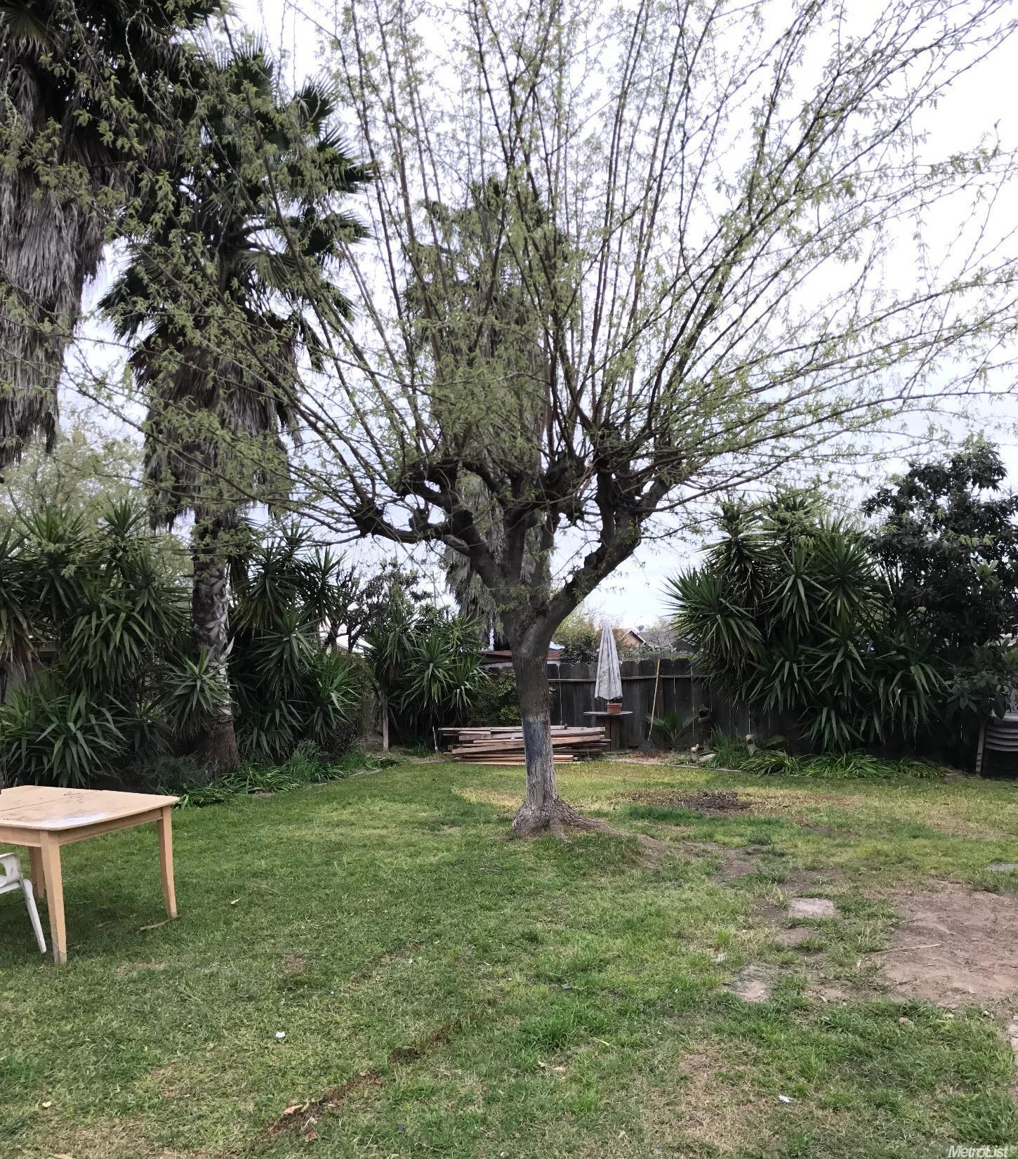 8519 Wilson St, Patterson, CA 95363 photo 11