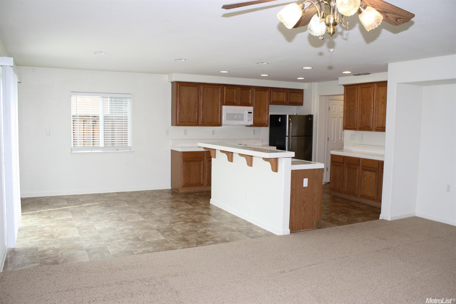 362 Apple Grove Ave, Lathrop, CA 95330 photo 4