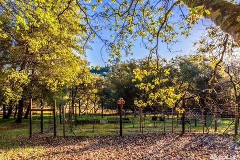 2055 Bogus Point Ct, Cool, CA 95614 photo 35