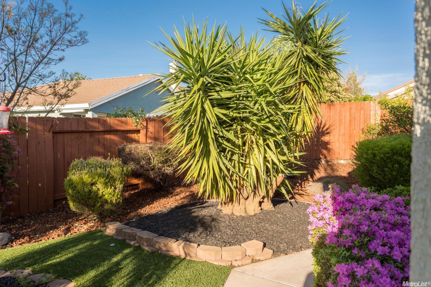 2503 Spring Ct, Rocklin, CA 95765 photo 23