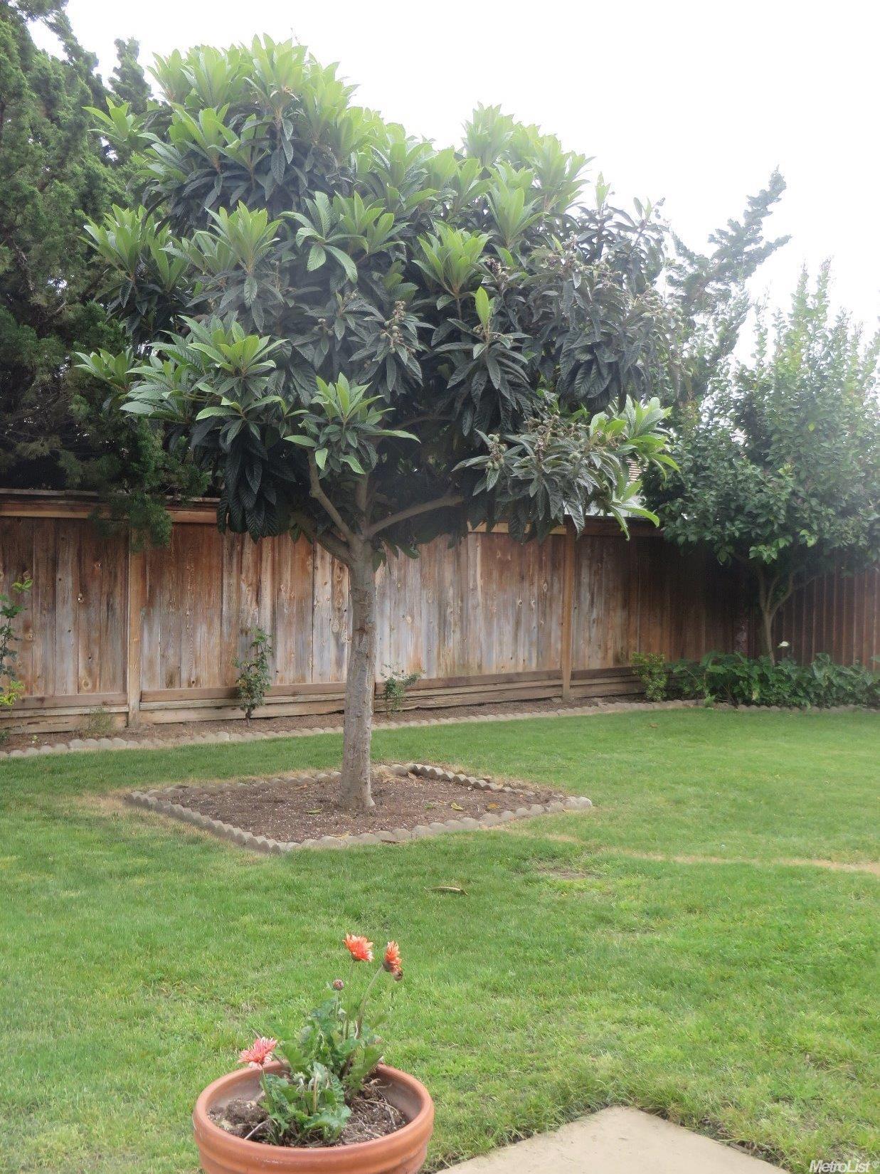312 Rutledge Dr, Lodi, CA 95242 photo 13