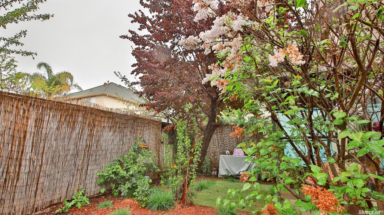 1012 Roosevelt, Winters, CA 95694 photo 35