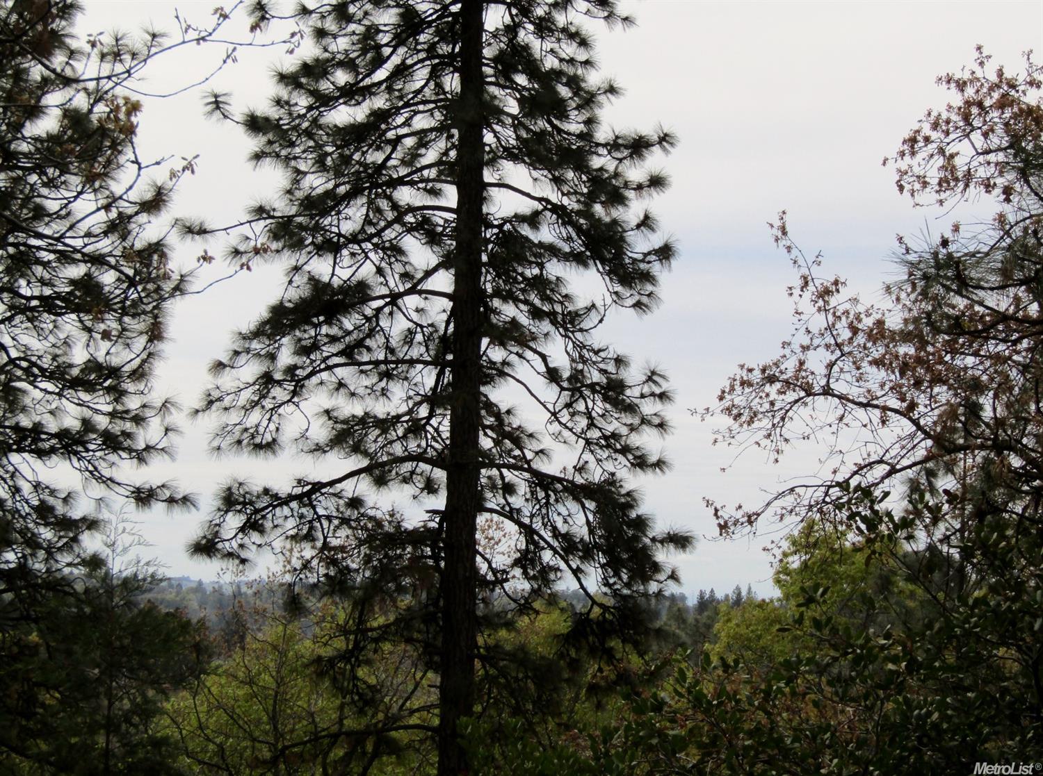 2321 Union Ridge Ct, Placerville, CA 95667 photo 25