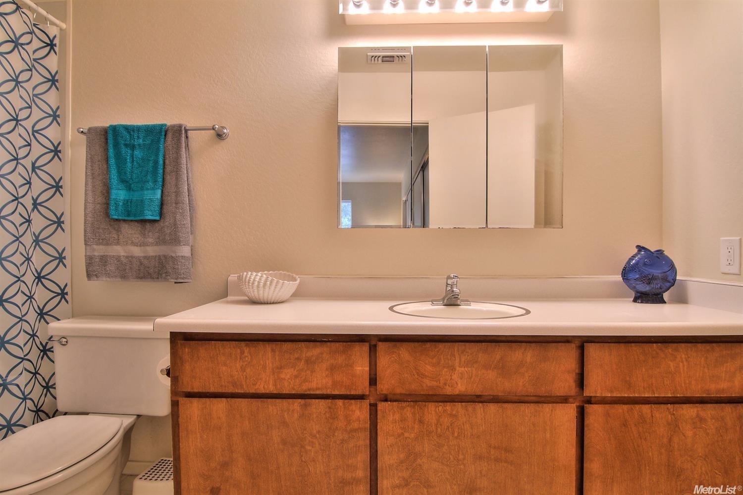 3924 49er Trl, Placerville, CA 95667 photo 19