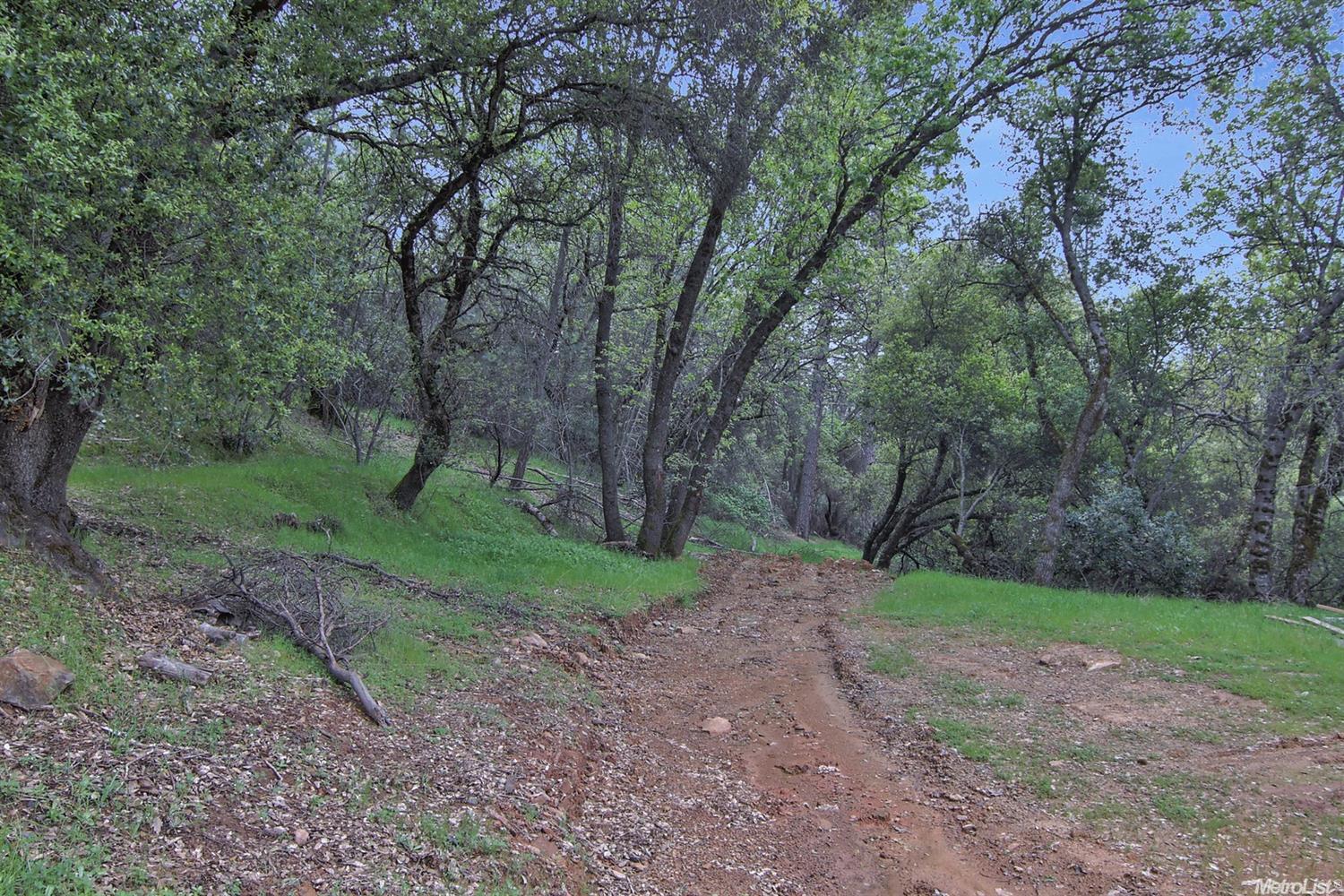 3924 49er Trl, Placerville, CA 95667 photo 31