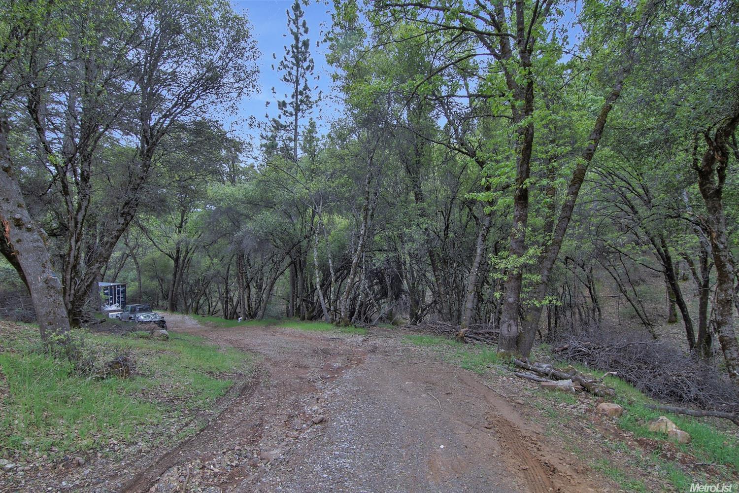 3924 49er Trl, Placerville, CA 95667 photo 30