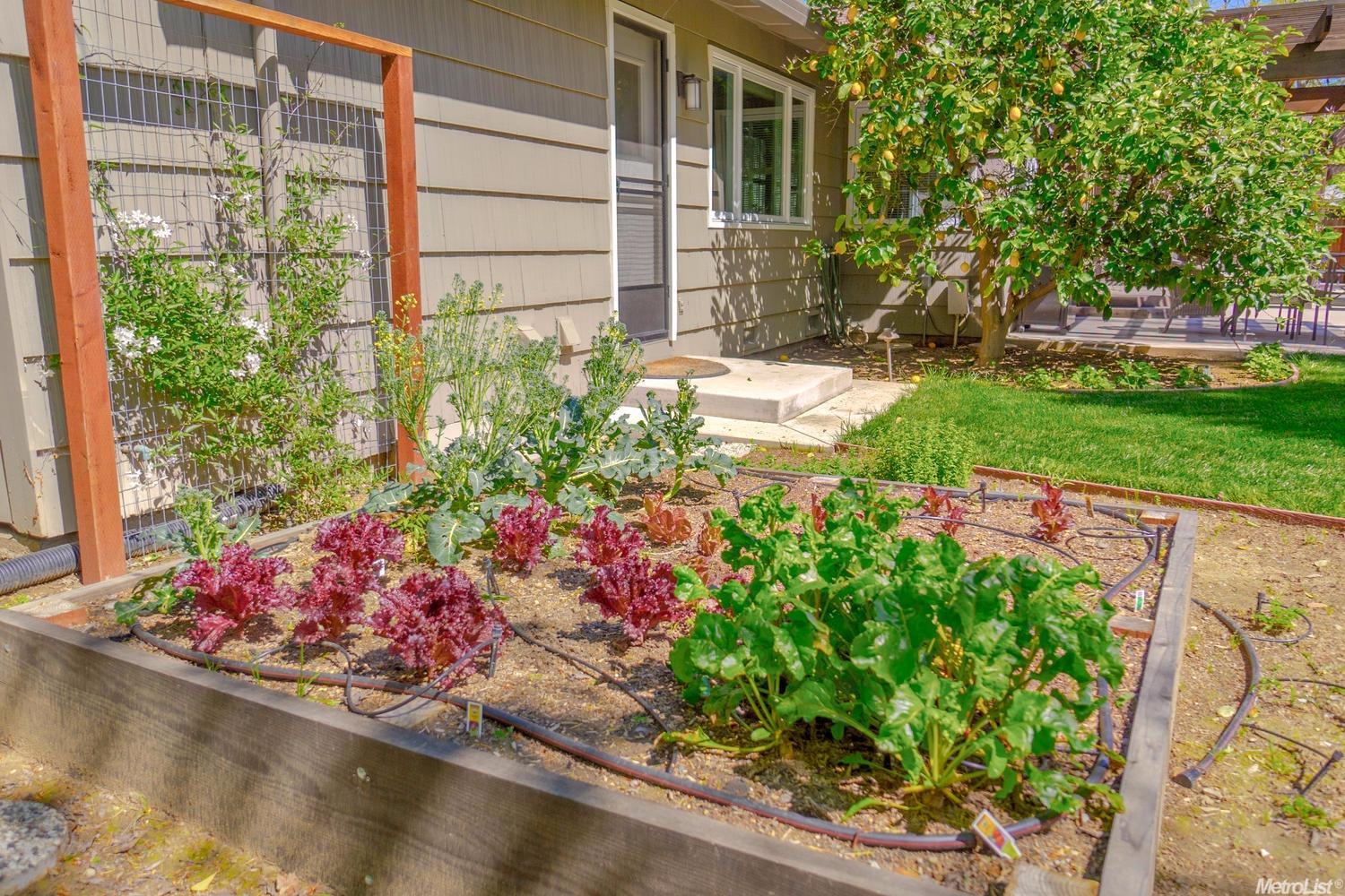 27265 Meadowbrook Dr, Davis, CA 95618 photo 32
