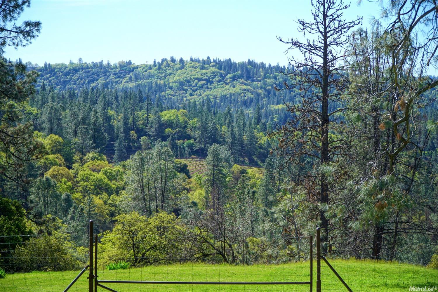 9341 Mosquito Rd, Placerville, CA 95667 photo 20