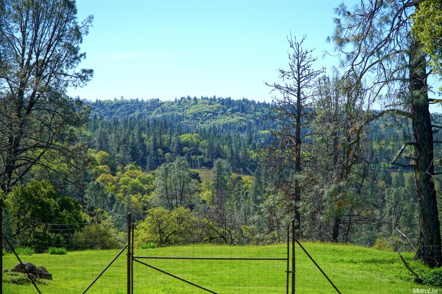 9341 Mosquito Rd, Placerville, CA 95667 photo 27