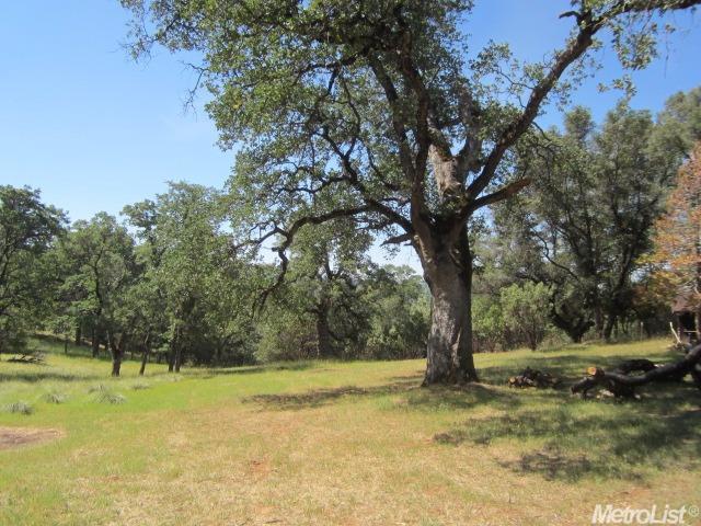 3030 Stope Dr, Placerville, CA 95667 photo 1