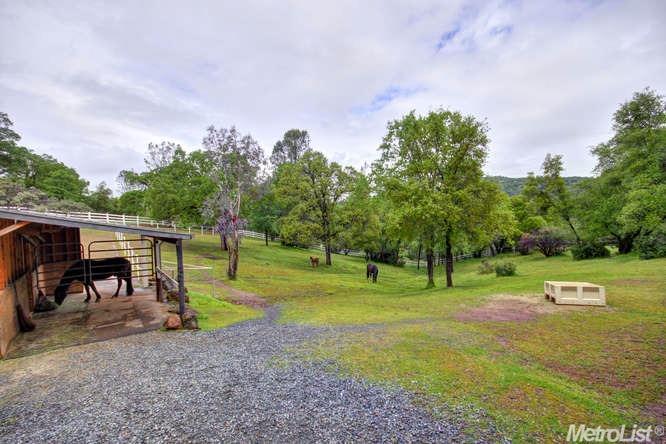 1831 Woodsman Ct, Placerville, CA 95667 photo 36