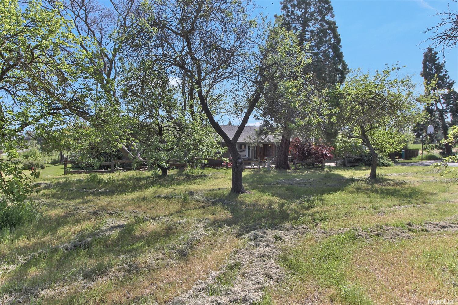 10027 Tavernor Rd, Wilton, CA 95693 photo 32