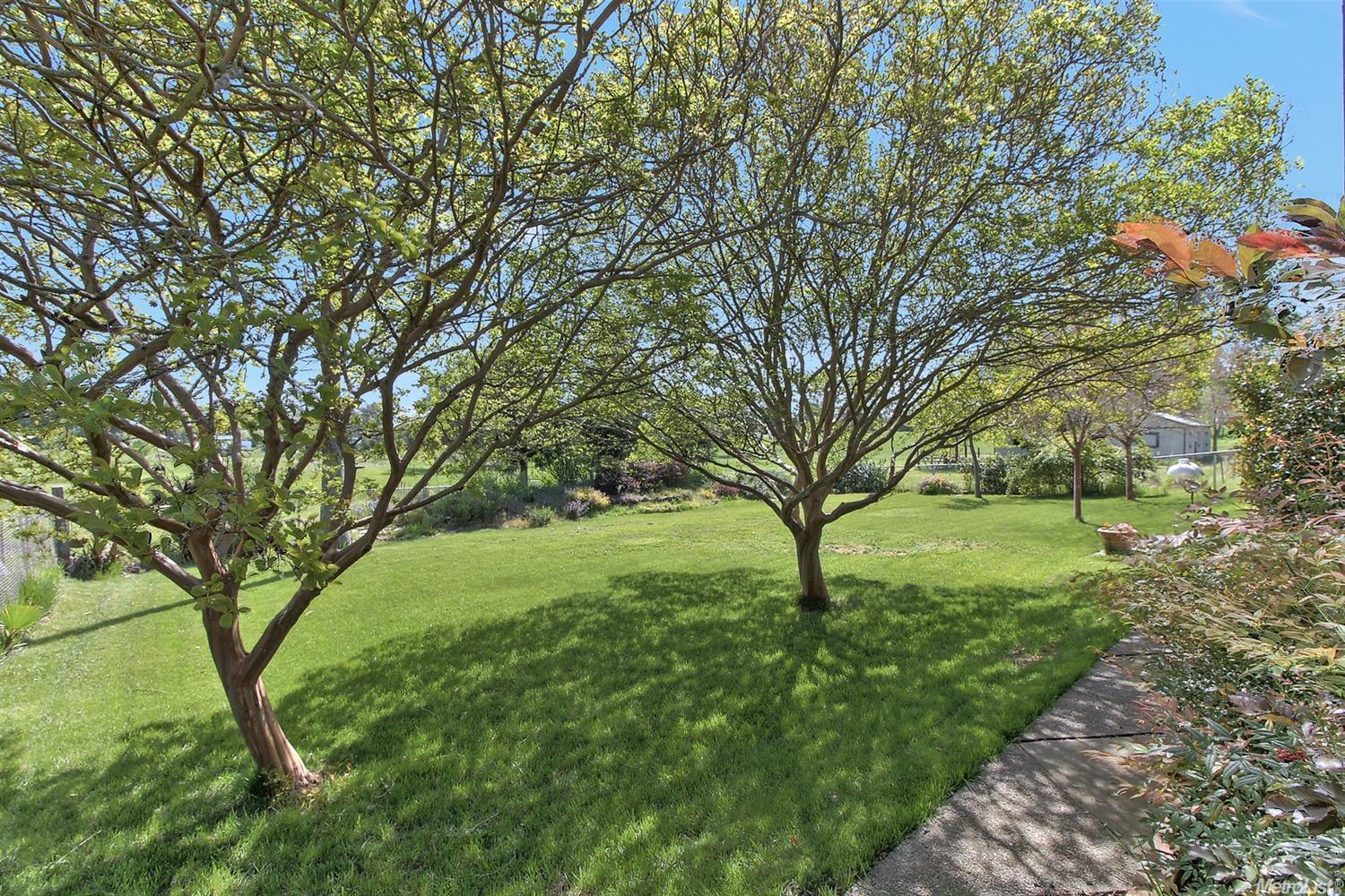 10027 Tavernor Rd, Wilton, CA 95693 photo 33