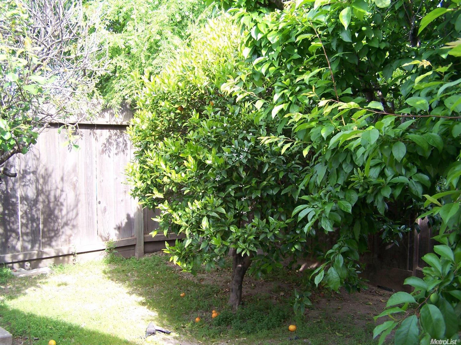 2505 Crowell Rd, Turlock, CA 95382 photo 20