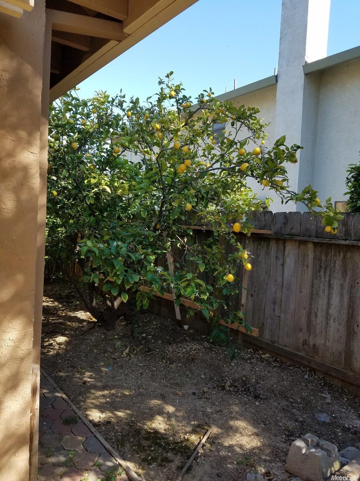 567 Mcmurphy Ct, Patterson, CA 95363 photo 18