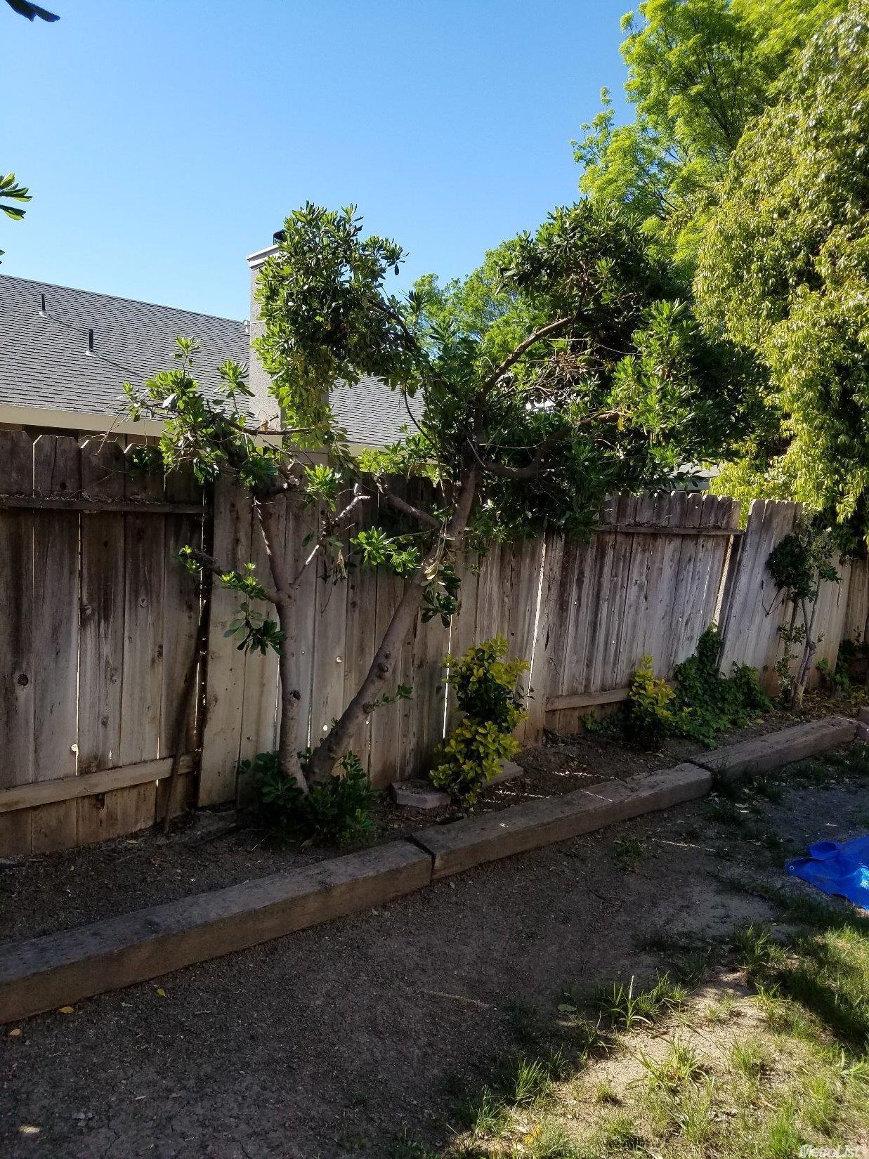 567 Mcmurphy Ct, Patterson, CA 95363 photo 21