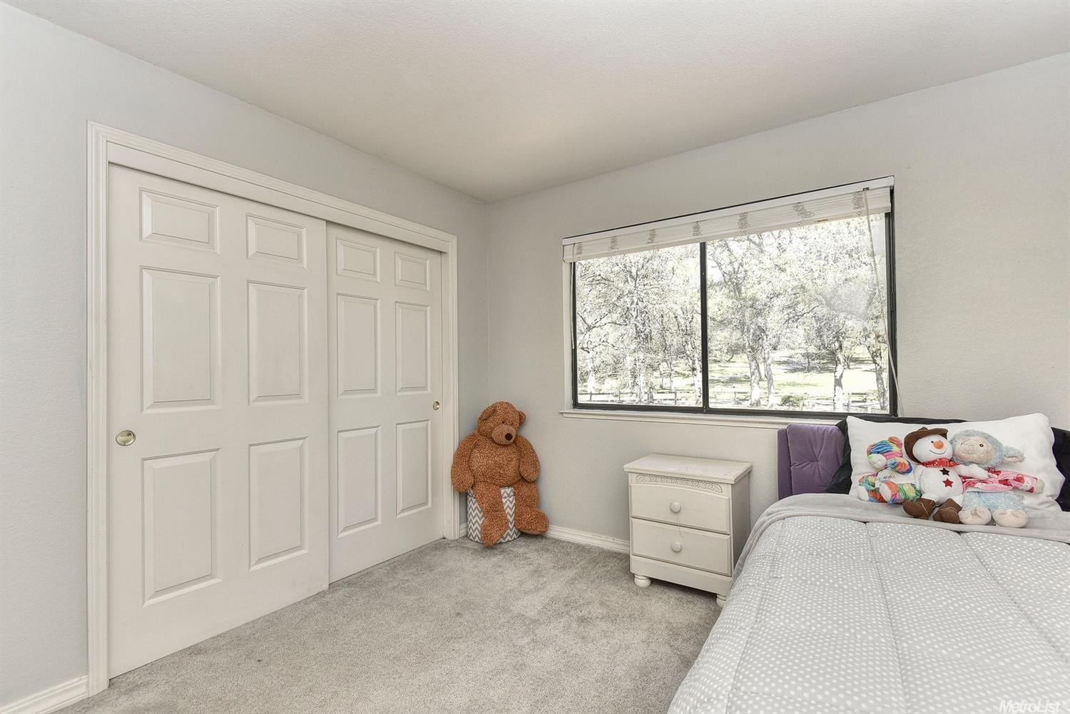1400 Cerro Vista Dr, Applegate, CA 95703 photo 21