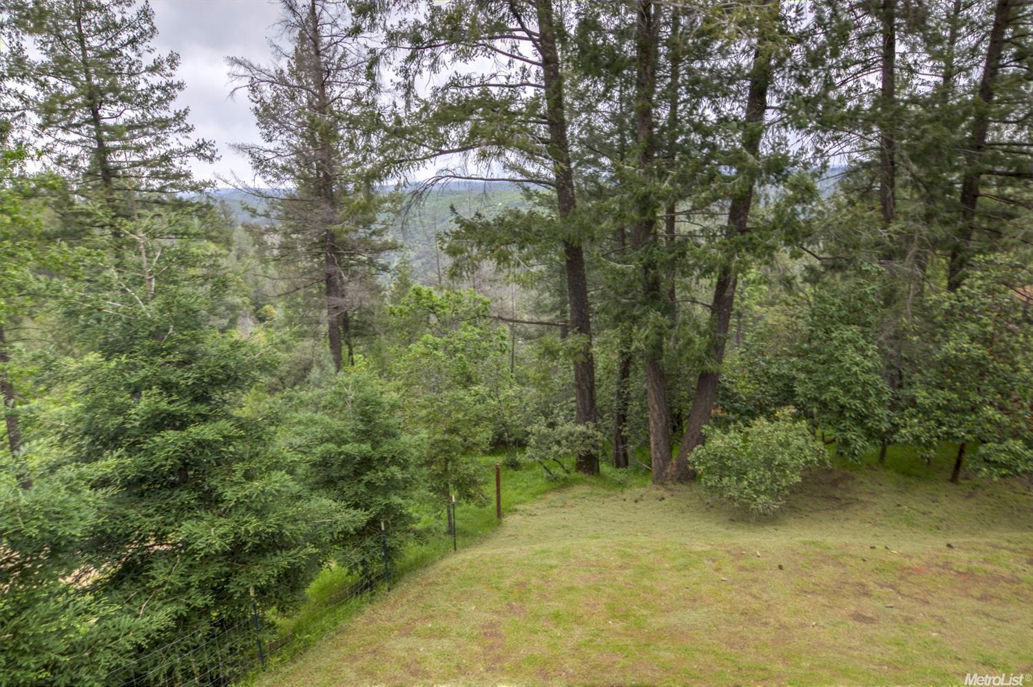 1351 Discovery Ln, Placerville, CA 95667 photo 24