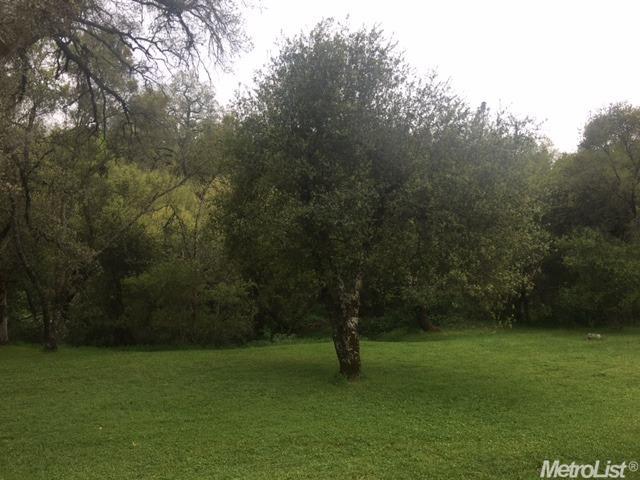 1900 Cold Springs Rd, Placerville, CA 95667 photo 11