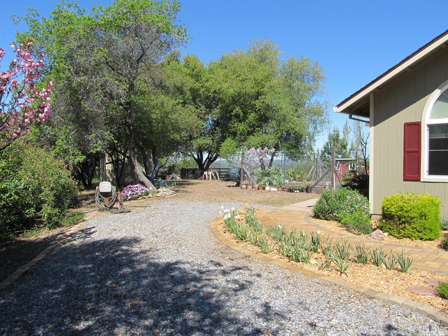 16887 Aubrey Ln, Jackson, CA 95642 photo 6