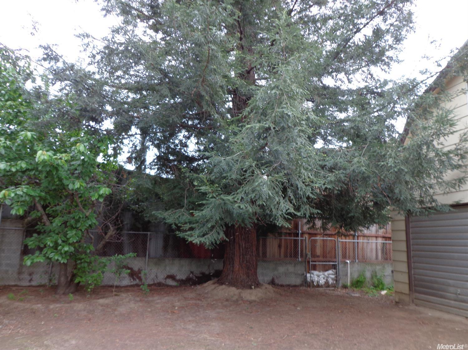 4772 E Woodbridge Rd, Acampo, CA 95220 photo 23