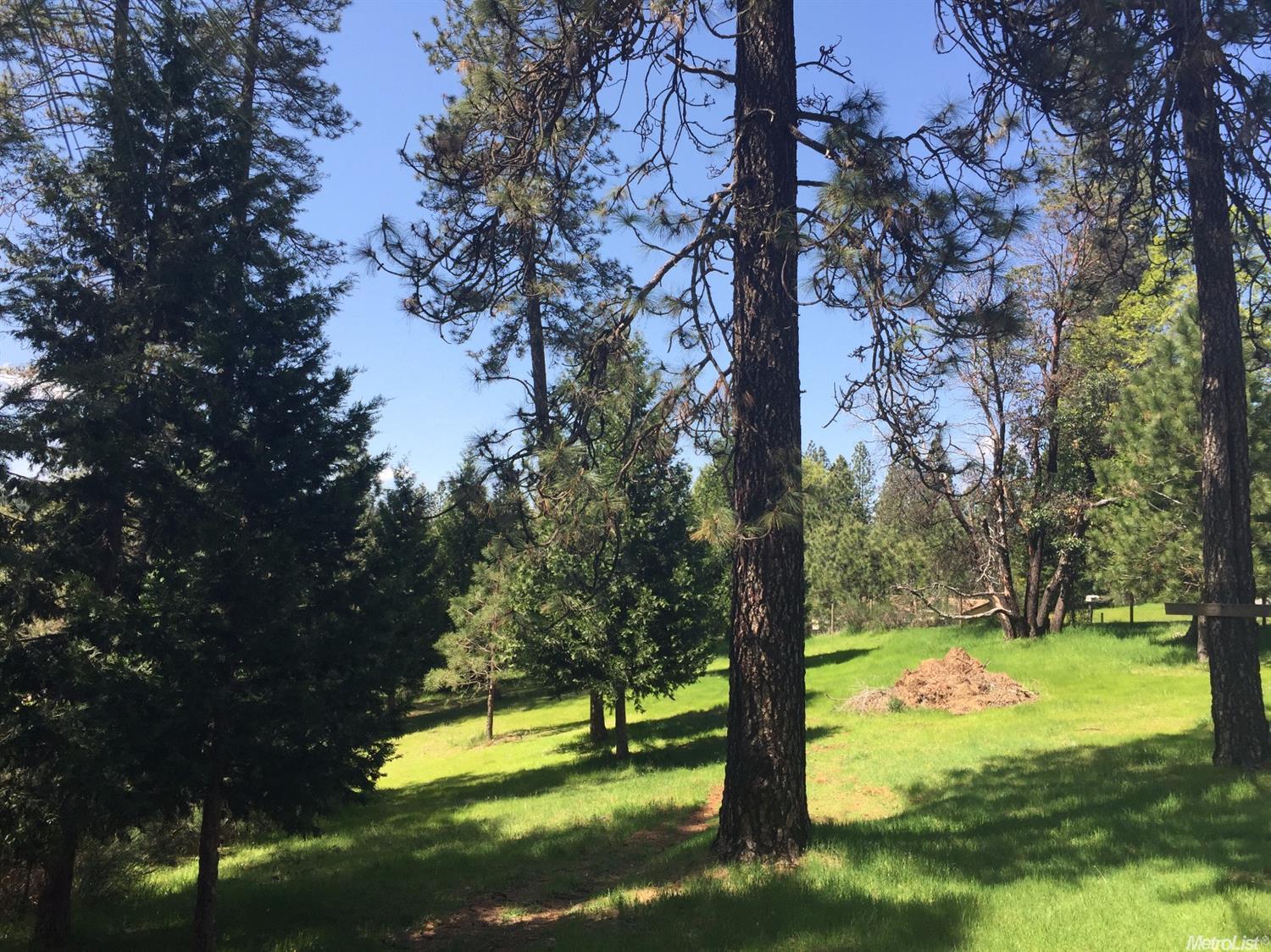 2774 Quiet Pl, Georgetown, CA 95634 photo 12