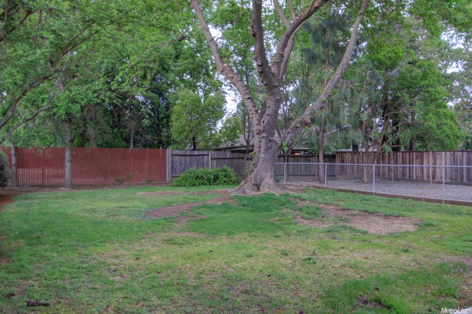 3219 Monte Vista Pl, Davis, CA 95618 photo 4