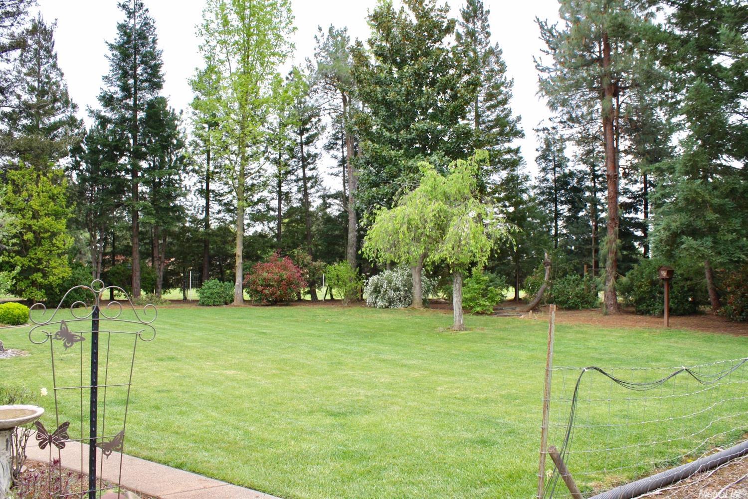 10919 Mann Rd, Wilton, CA 95693 photo 20