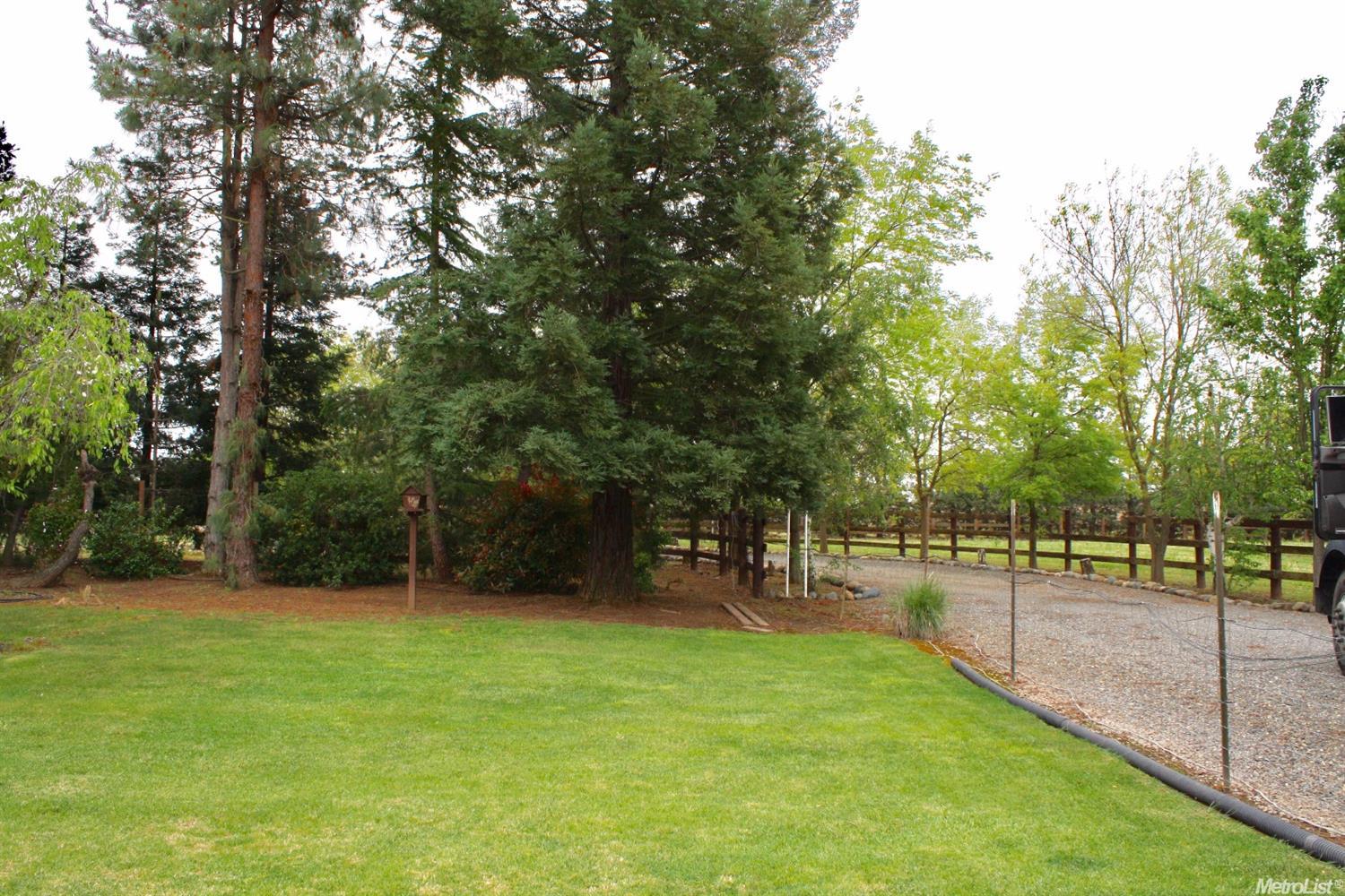 10919 Mann Rd, Wilton, CA 95693 photo 16