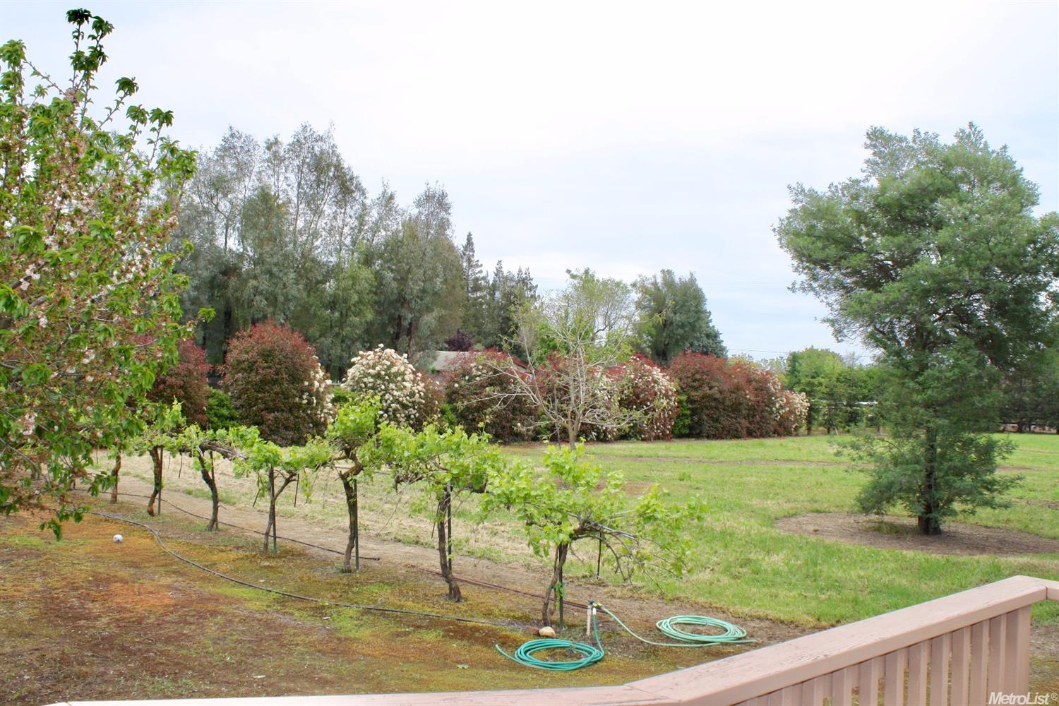 10919 Mann Rd, Wilton, CA 95693 photo 22