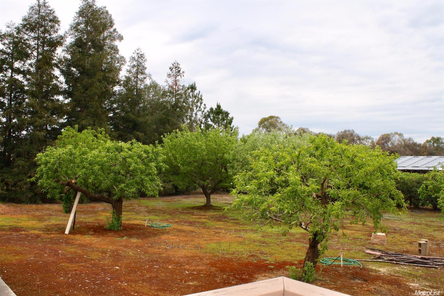 10919 Mann Rd, Wilton, CA 95693 photo 21
