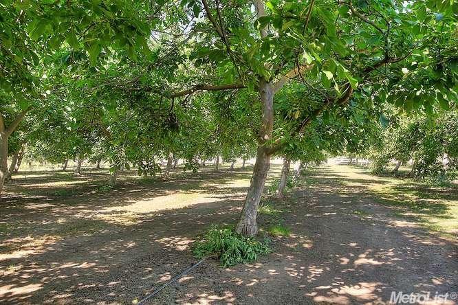 7600 Mchenry Ave, Modesto, CA 95356 photo 35