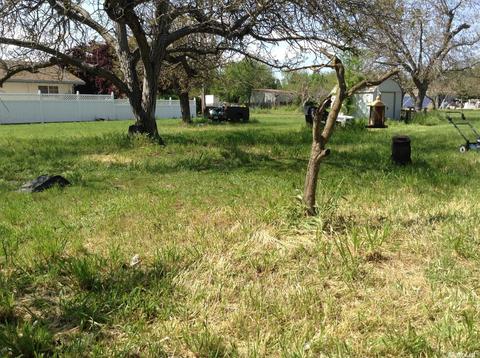 1155 French Ave, Gridley, CA 95948 photo 24
