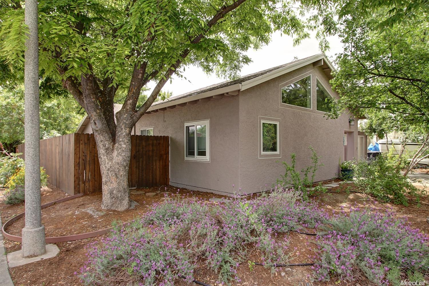 202 Faro Ave, Davis, CA 95616 photo 36