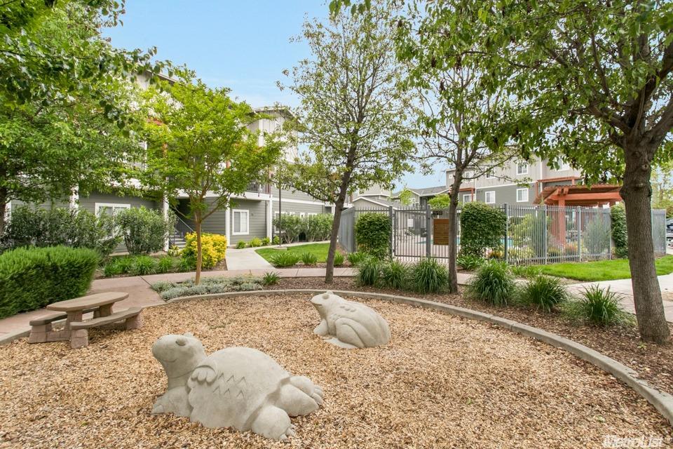 1818 Moore Blvd #144, Davis, CA 95618 photo 20