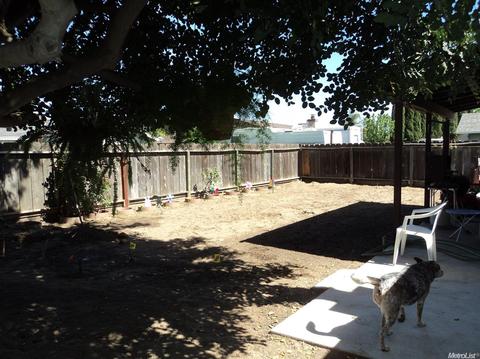 831 Buchanon Ln, Manteca, CA 95336 photo 1