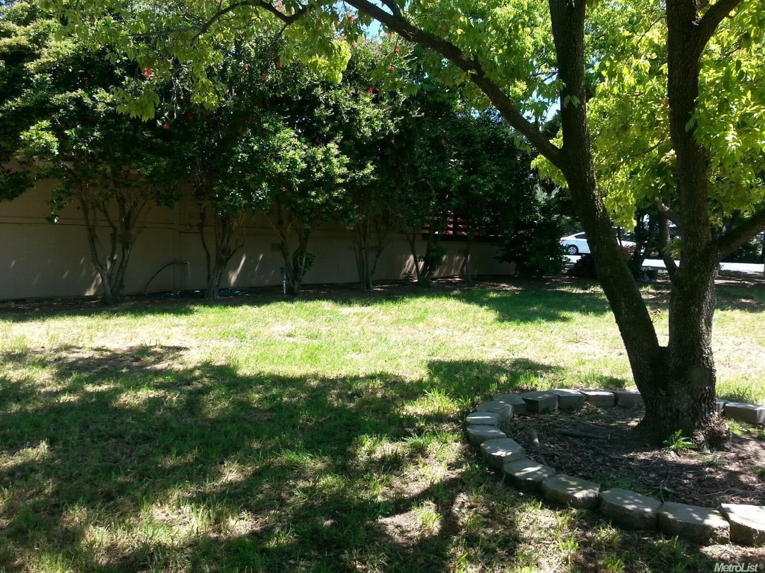 9507 Jeffcott Rd, Wilton, CA 95693 photo 4