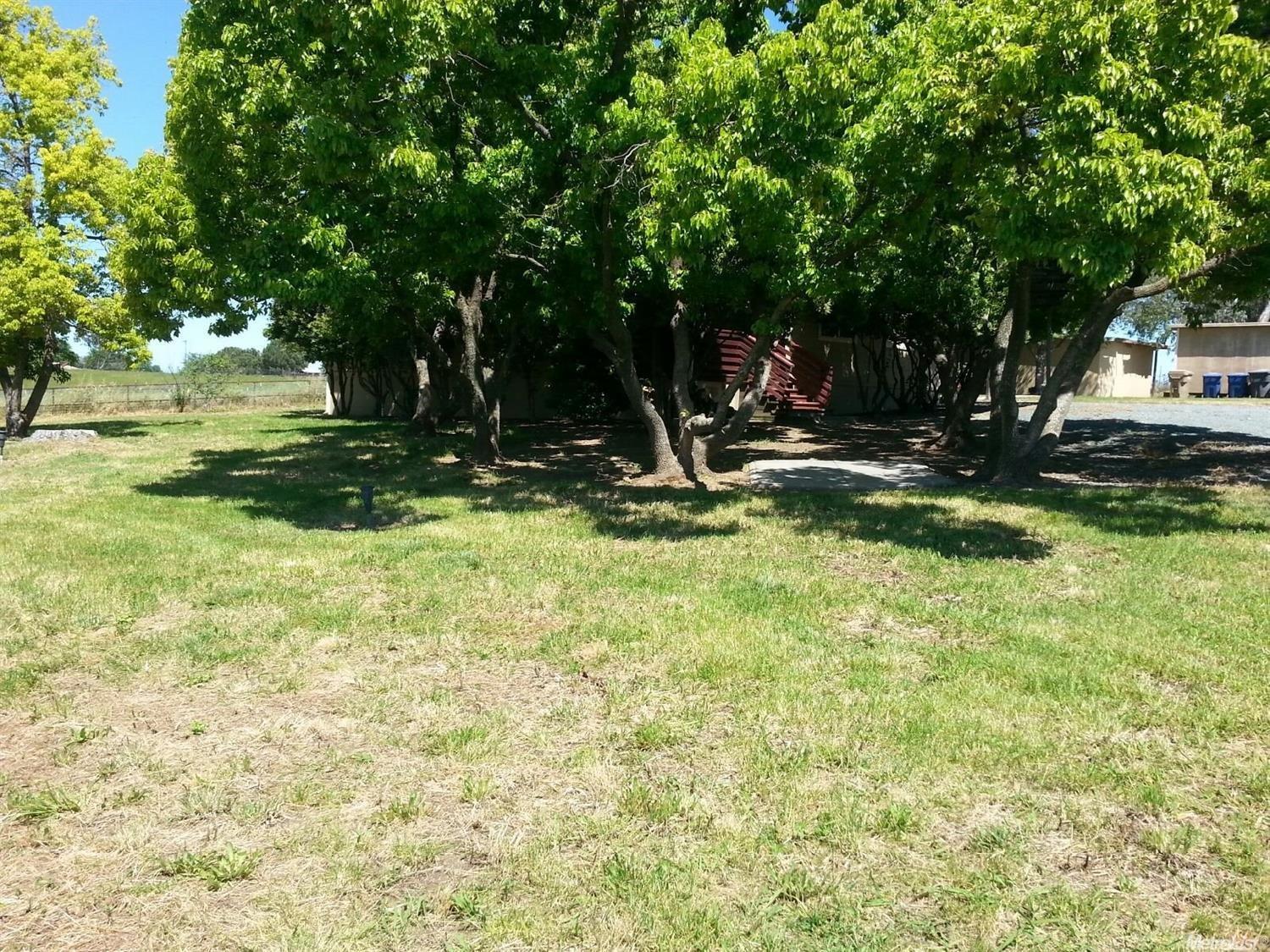 9507 Jeffcott Rd, Wilton, CA 95693 photo 5