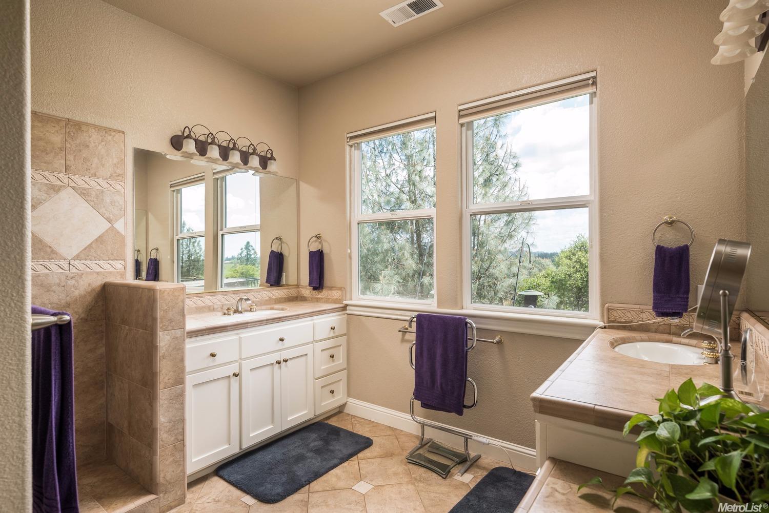 2420 Willow Creek Ct, Cool, CA 95614 photo 10