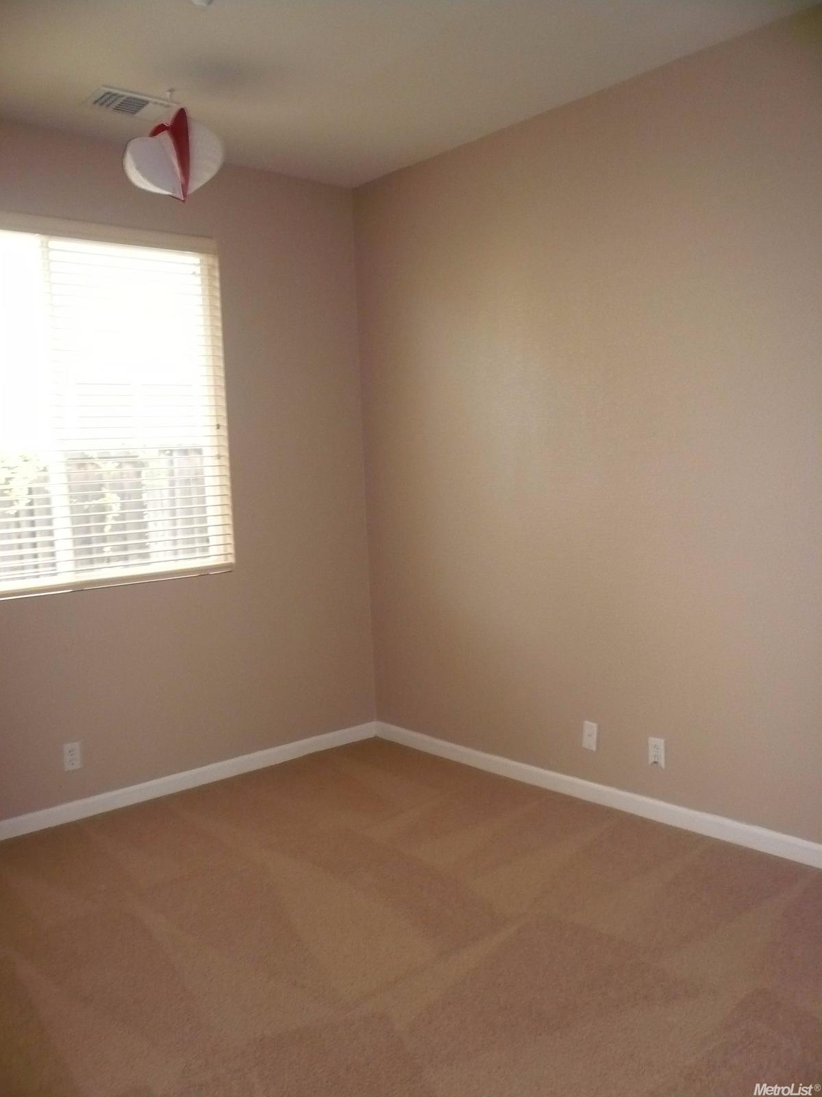 621 Snapdragon St, Winters, CA 95694 photo 10